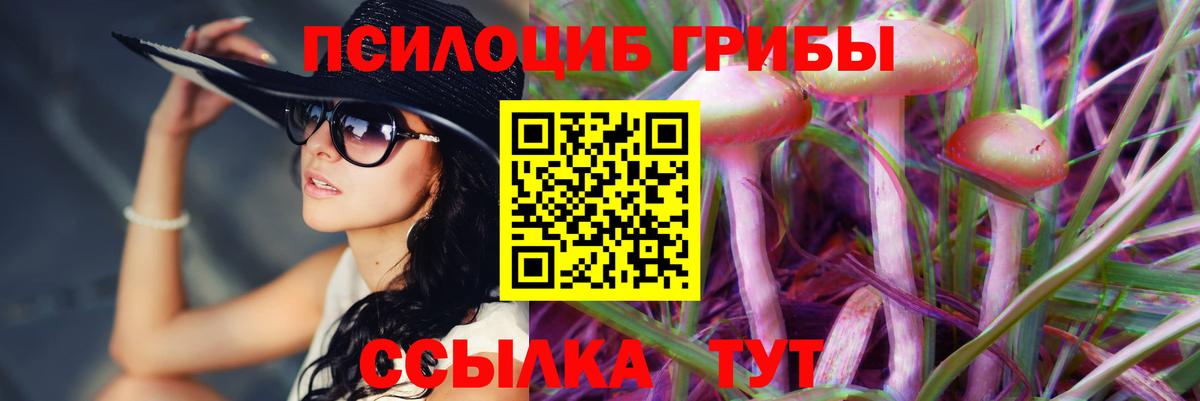Псилоцибиновые грибы Cubensis  Галлюциногенные грибы Magic Shrooms  Вход с VPN  Амурск 